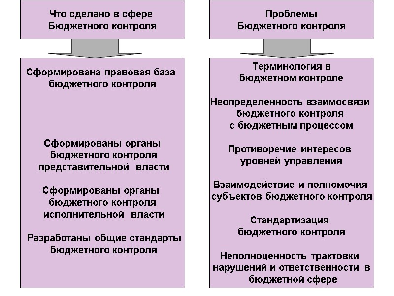 Сформирована правовая база  бюджетного контроля     Сформированы органы  бюджетного